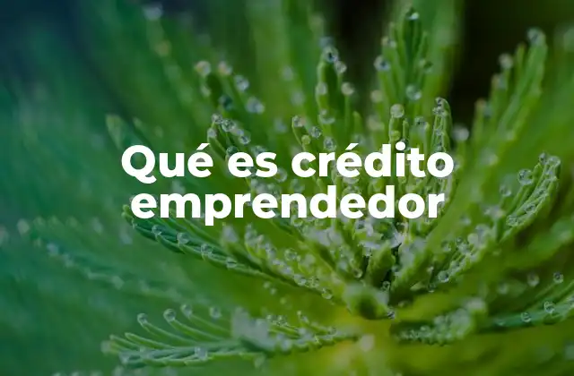 Qué es Crédito Emprendedor