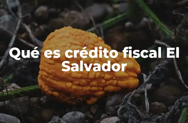 Qué es Crédito Fiscal el Salvador