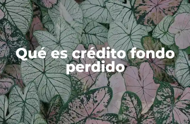 Qué es Crédito Fondo Perdido