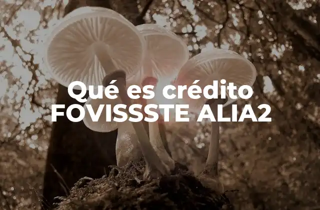 Qué es Crédito Fovissste Alia2