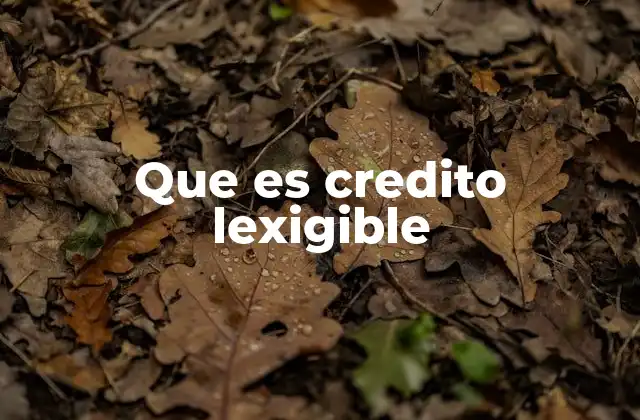 Que es Credito Lexigible