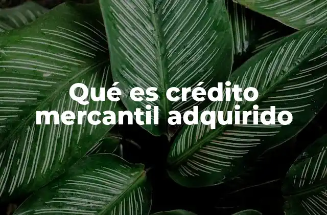 Qué es Crédito Mercantil Adquirido