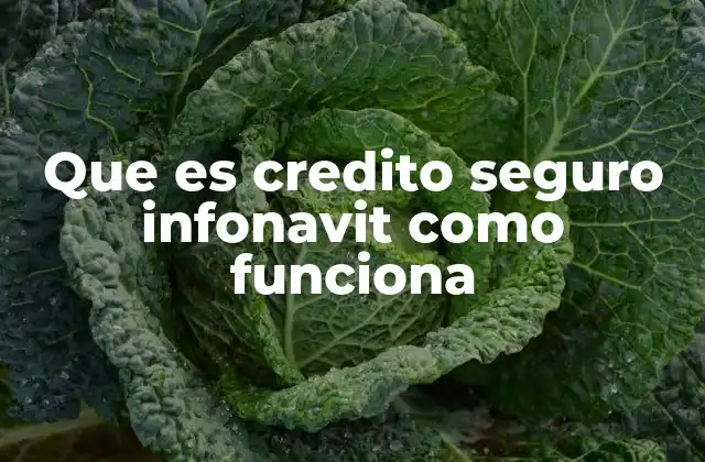 Que es Credito Seguro Infonavit como Funciona