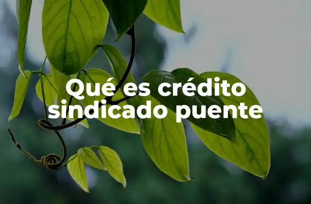 Qué es Crédito Sindicado Puente 2 El rol del crédito sindicado puente en la financiación empresarial