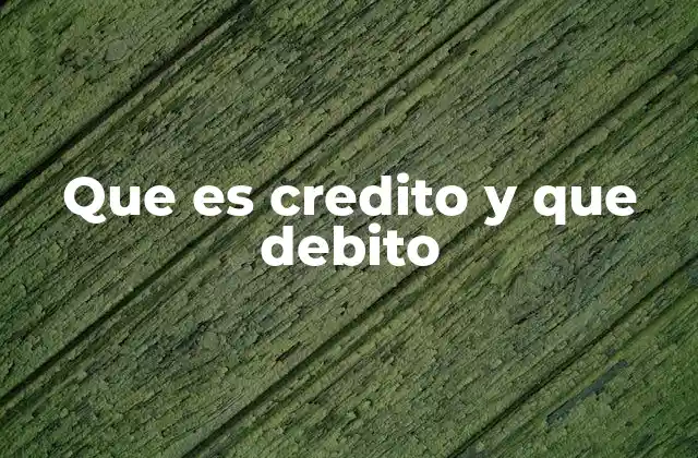 Que es Credito y que Debito