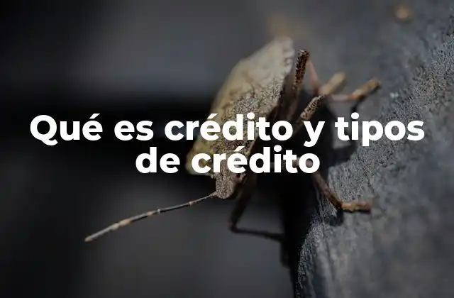 Qué es Crédito y Tipos de Crédito