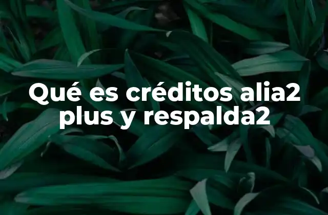 Qué es Créditos Alia2 Plus y Respalda2