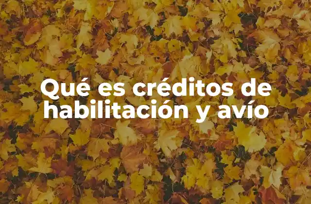 Qué es Créditos de Habilitación y Avío