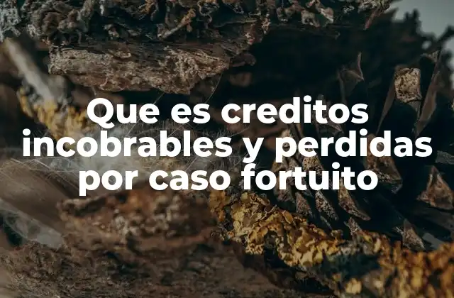 Que es Creditos Incobrables y Perdidas por Caso Fortuito