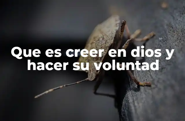 Que es Creer en Dios y Hacer Su Voluntad