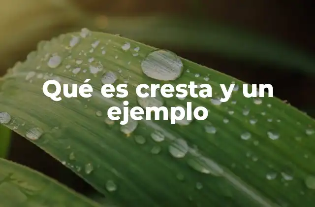 Qué es Cresta y un Ejemplo 2 La importancia de la cresta en la naturaleza