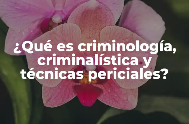El papel de las disciplinas científicas en la investigación criminal