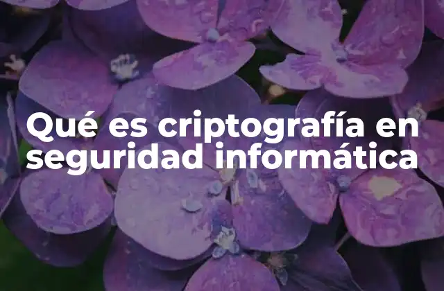 Qué es Criptografía en Seguridad Informática