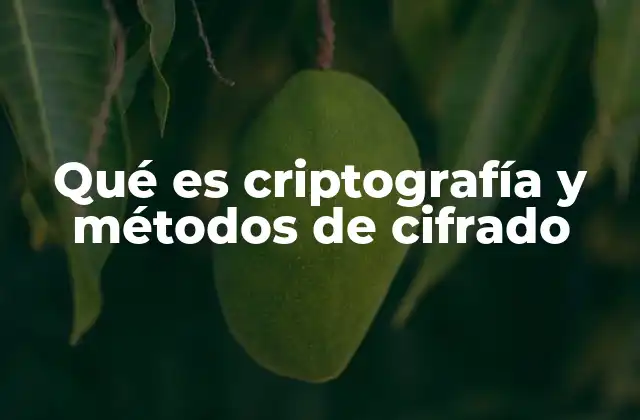 Qué es Criptografía y Métodos de Cifrado