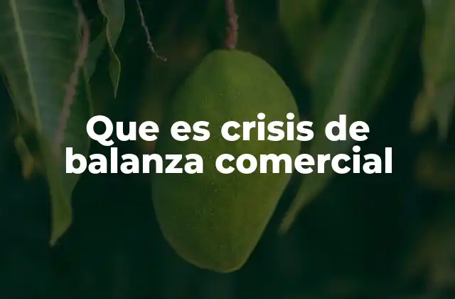 Que es Crisis de Balanza Comercial