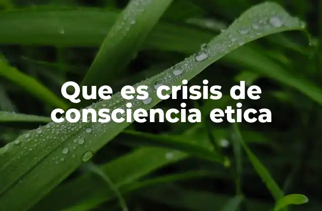 Que es Crisis de Consciencia Etica
