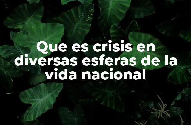 Crisis como desafíos interconectados en el entorno nacional
