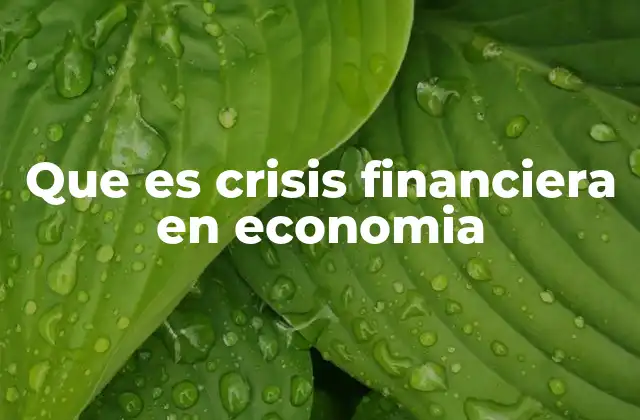Que es Crisis Financiera en Economia