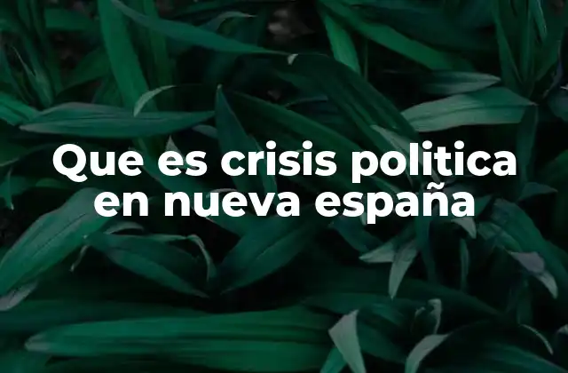 Que es Crisis Politica en Nueva España