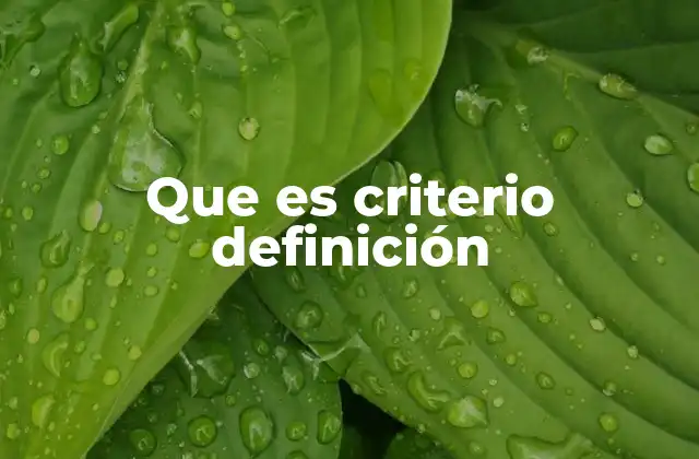 El papel de los criterios en la toma de decisiones