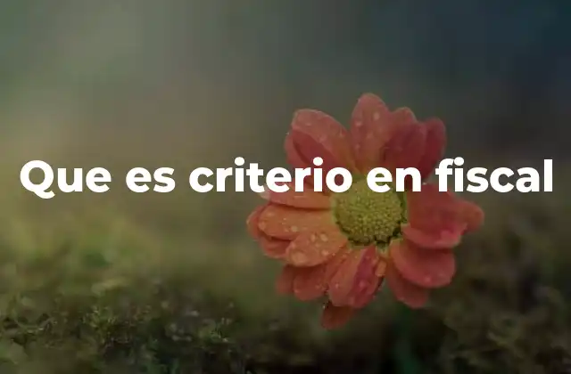 Que es Criterio en Fiscal