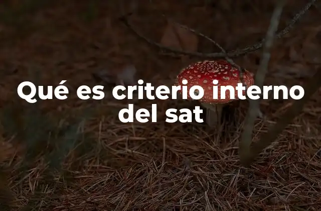 Qué es Criterio Interno Del Sat
