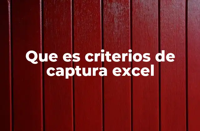 Que es Criterios de Captura Excel 2 Cómo mejorar la calidad de los datos con criterios de captura