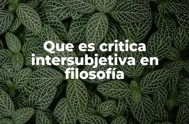 Que es Critica Intersubjetiva en Filosofía