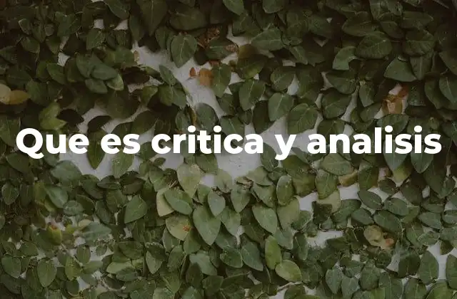 Que es Critica y Analisis