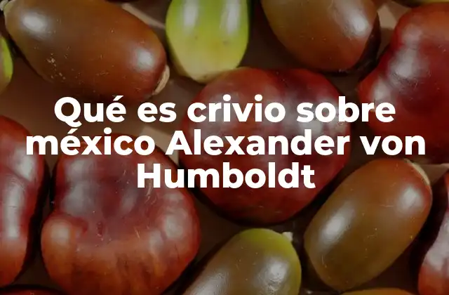 Qué es Crivio sobre México Alexander Von Humboldt 2 La visión europea de América Latina a través de Humboldt y su impacto en la percepción de México