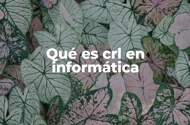 Qué es Crl en Informática 2 La importancia de las listas de certificados en la seguridad digital