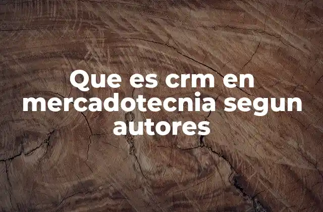 Que es Crm en Mercadotecnia Segun Autores