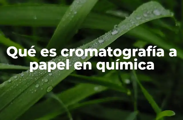 Qué es Cromatografía a Papel en Química
