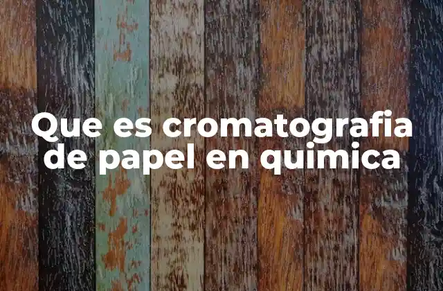 Que es Cromatografia de Papel en Quimica