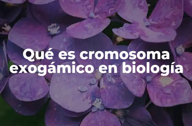 Qué es Cromosoma Exogámico en Biología