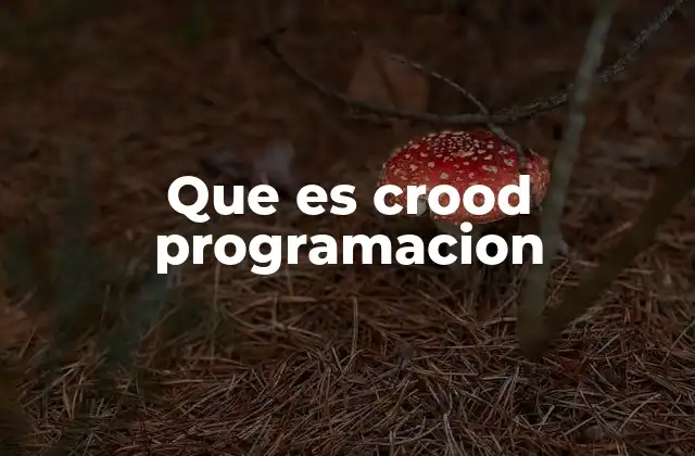 Que es Crood Programacion