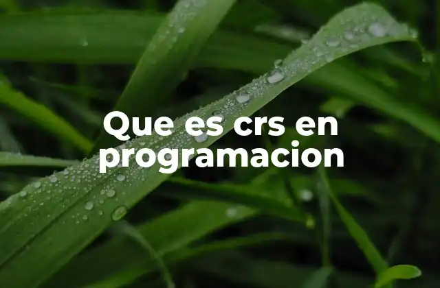 Que es Crs en Programacion