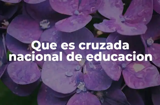 Que es Cruzada Nacional de Educacion