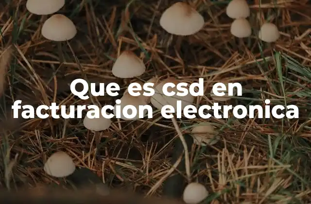 Que es Csd en Facturacion Electronica