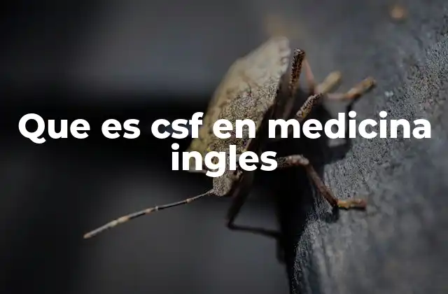 Que es Csf en Medicina Ingles