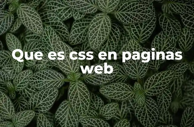 Que es Css en Paginas Web