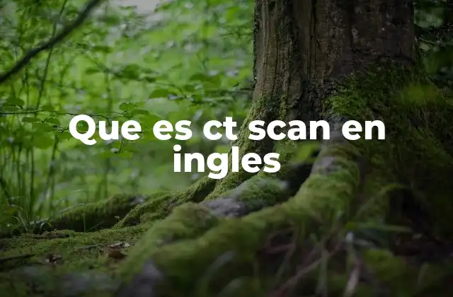 Que es Ct Scan en Ingles