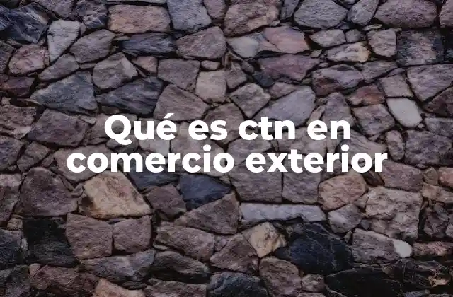 Qué es Ctn en Comercio Exterior