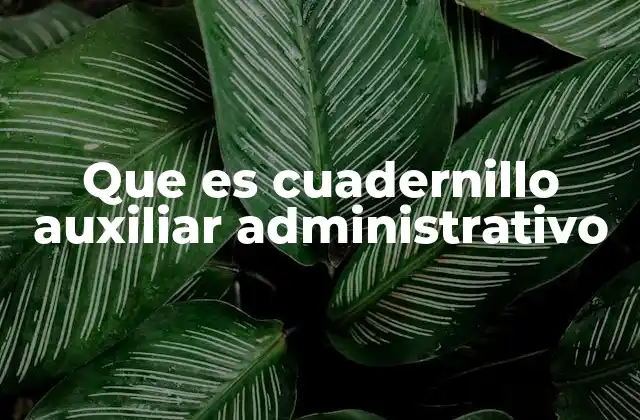 Que es Cuadernillo Auxiliar Administrativo