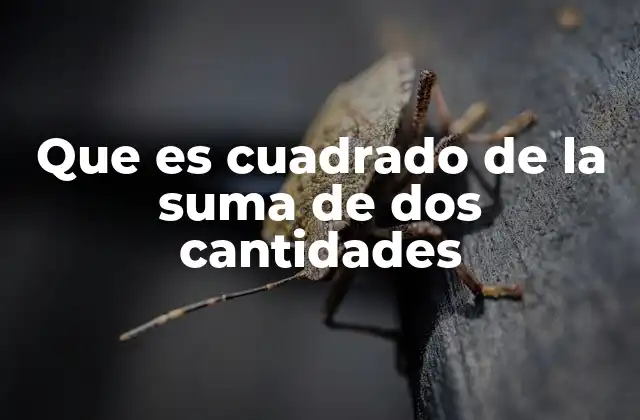 Que es Cuadrado de la Suma de Dos Cantidades