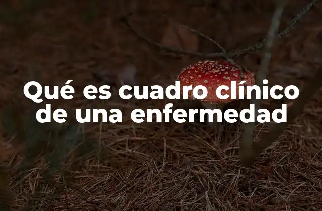 Qué es Cuadro Clínico de una Enfermedad 2 La importancia del cuadro clínico en el diagnóstico médico