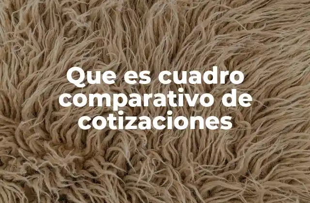 Que es Cuadro Comparativo de Cotizaciones