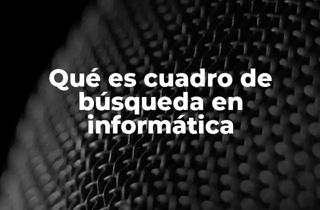 Qué es Cuadro de Búsqueda en Informática