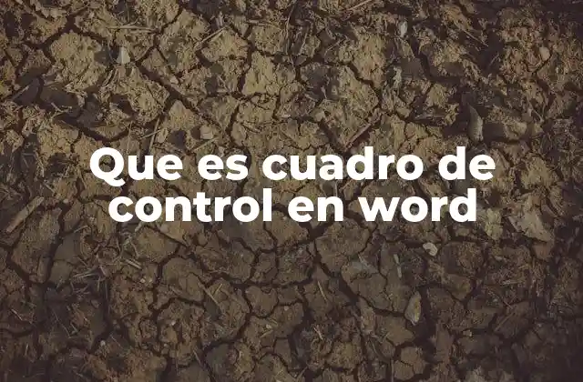 Que es Cuadro de Control en Word