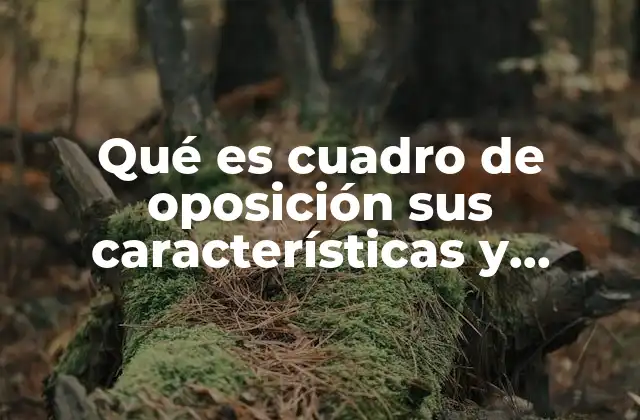 Qué es Cuadro de Oposición Sus Características y Ejemplo